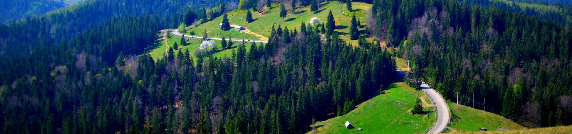 Tururi in Iasi, Bucovina si Republica Moldova